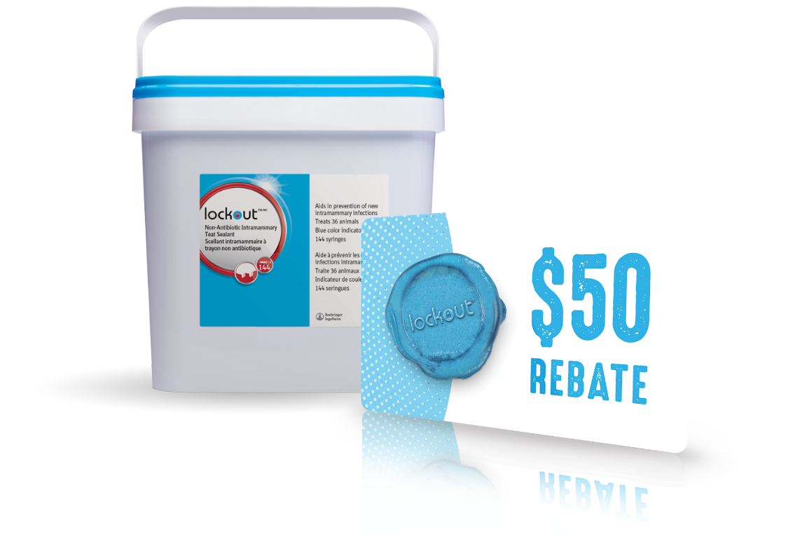 Photo of a $50 rebate card in front of a container of Lockout